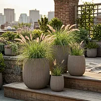 A signature trio of commercial-grade GFRC planters featuring an antiqued, weathered patina finish and organic silhouette, bringing rustic elegance and architectural character to a transitional landscape design.